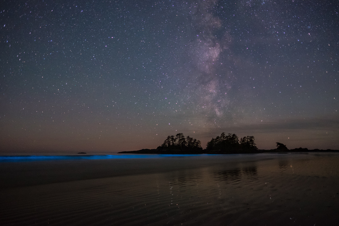 Milky Way over bioluminescent waves